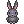 [Costume] Black Rabbit (Bound)