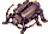 Solid Thief Bug
