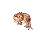 Swift Poison Toad