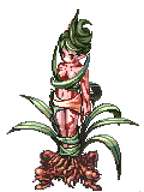 Swift Dryad